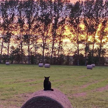 Ferienwohnung Kompass Nahe Der Ostsee Im Gruenen Bad Doberan Exteriör bild