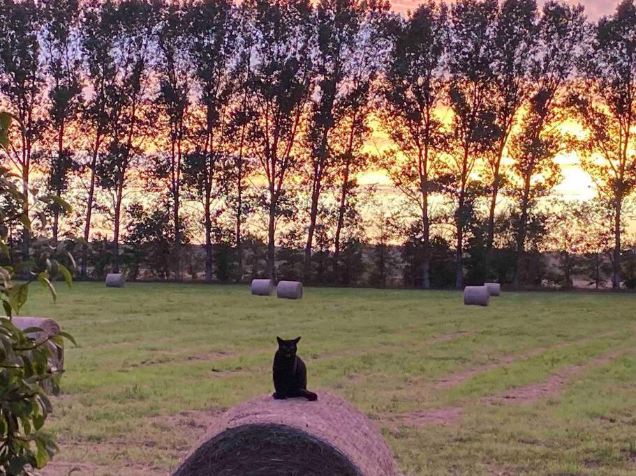 Ferienwohnung Kompass Nahe Der Ostsee Im Gruenen Bad Doberan Exteriör bild